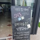 대포칼제비 네이버블로그