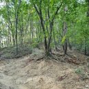 일장천약수터 이미지