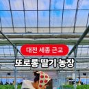또로롱딸기농장 이미지
