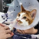 아이본병원 이미지