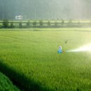 상식농장 이미지