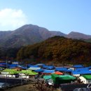 무주읍011 이미지