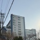 선비사우나(키즈랜드) | [인천/계양] 7살 4살 아이랑 “키위스파랜드” 키위키즈랜드 내돈내산 후기