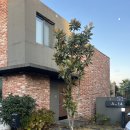 솜솜이네 이미지