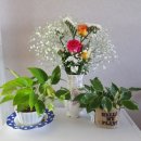 화원농장 이미지