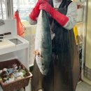 도시바다 이미지