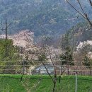 고성 잔디 캠핑장 | 고성오토캠핑장 분위기 미쳤다… 자연뷰 힐링 고성라벤더캠핑장 후기