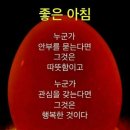 7월29일 목요일 아침뉴스 이미지