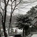 원도요양병원 네이버블로그