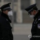 홍콩 간 여우 이미지