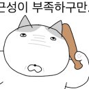 공인주 이미지