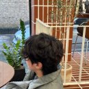 하미용실 이미지