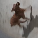 진영마트 이미지