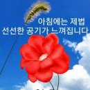 오늘한잔해 - 제주시 | 오늘한잔해