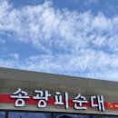 송광환경 - 735 | 소양 송광피순대 방문 후기