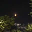 디디에스 | 독산동 산후필라테스 룩스필라테스, 엠제이산후조리원 출산 후 산후다이어트 시작한 후기