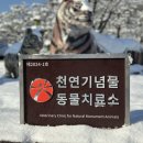 광주광역시 우치동물원 동물병원 이미지