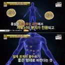 유명착한홍삼
