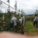 삼백농장 이미지