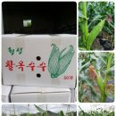 안말농장 이미지