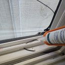 [용산구 해충방역] 용문동 에어비앤비 외국인 리뷰...부르는 바퀴벌레, 유입경로차단이 답 (벌레자비 후기)