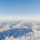 조선행정사 이미지