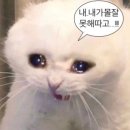 카페그냥 이미지