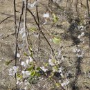 경화어린이집 이미지