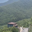 필수 단양 여행 코스 만천하 스카이워크_만천하 스카이라운지카페 리뷰 추천 후기