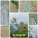 둔덕농장2 이미지