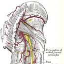 PT의 정석 운동재활센터 이미지