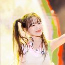 천사강아지 이미지