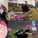 브랜드 덕후를 만드는 브랜드 커뮤니케이션 이미지