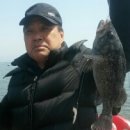 달빛좌대 이미지