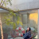 다감 스테이 | 포항펜션 경북풀빌라 머물다감 가족여행 후기