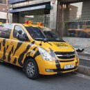 리더댄 영어 태권도 이미지