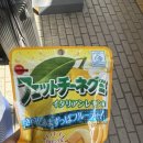 하나미 | 도쿄 로컬 라멘 찐맛집 하나미치안 라멘 후기! [6/12]