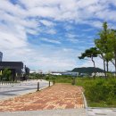 호수공원소나무숲길 이미지