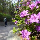 골든코스트 이미지