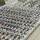 안경백서 목동점 이미지