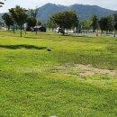 황산공원 캠핑장 1번 | 캠린이의 양산 황산공원 캠핑장 일반사이트 1번 1박 2일 간단 캠핑 후기