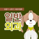 스위스동물병원 이미지