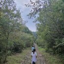 황산토종정육식당 | 지리산 바래봉 최단코스, 운지사, 허브밸리, 산행 후 현지인 추천 흑돼지 삼겹살 맛집 황산토종정육식당