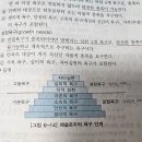매슬로우 욕구체계이론 이미지