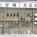 연대중앙문화사 이미지