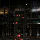 바디플라워 이미지