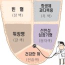 혀로 보는 건강 색깔.설대.입술등 이미지