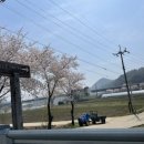 꾀꼬리봉 화장실 네이버블로그