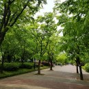 백마공원 이미지