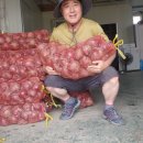 우포마을기업 이미지